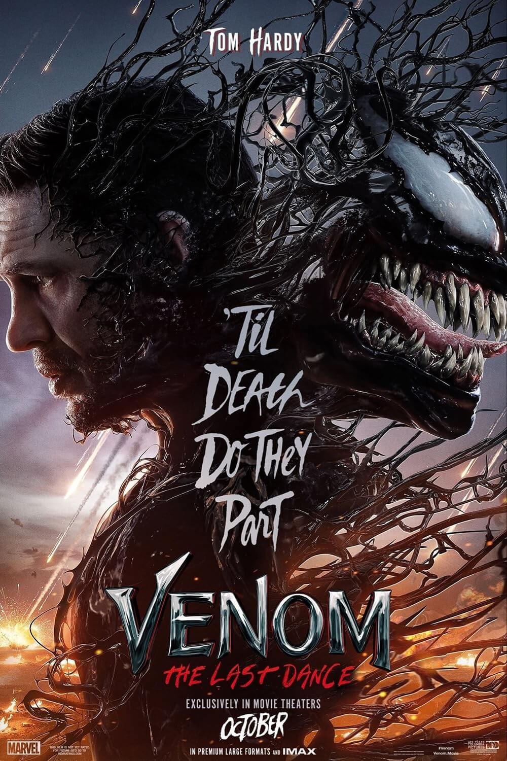 Image of the Venom: The Lat Dance Poster